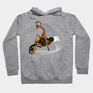 Funny giraffe Hoodie